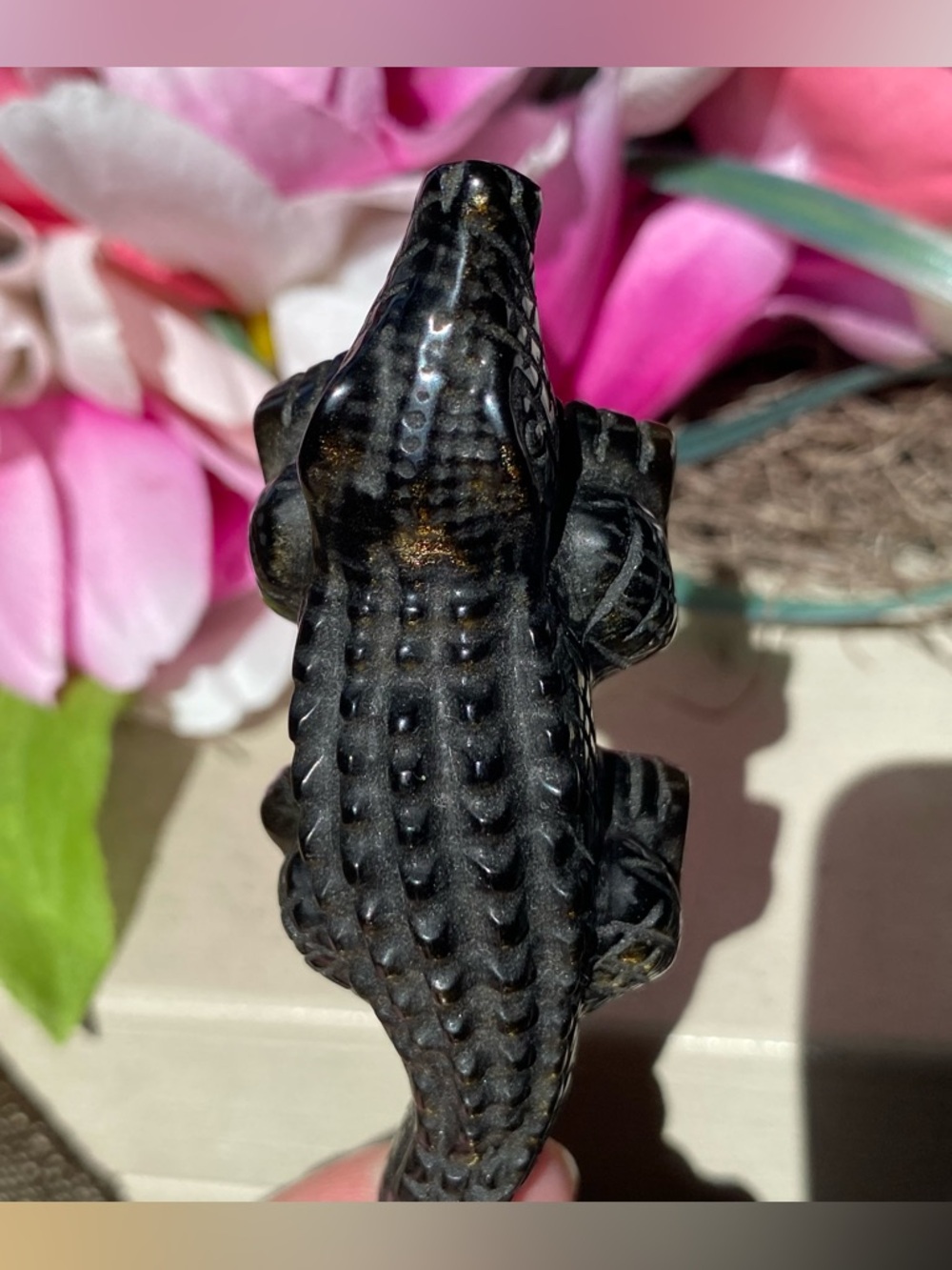 Gold Sheen Obsidian Alligator - Picture 10 of 12